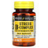 Stress B-Complex with Antioxidants+Zinc, 60 Tablets