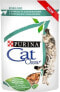 Фото #1 товара Purina Purina Cat Chow Sterilised Kurczak saszetka 85g