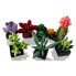 Фото #4 товара LEGO Creator Succulents 10309 construction toy