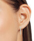 ფოტო #2 პროდუქტის Diamond Hoop Earrings (1/2 ct. t.w.) in Sterling Silver