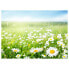 Фото #2 товара Комплект скатертей с изображением луга весной (12 шт.) - tischsetmacher