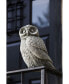 Фото #2 товара Night Owl Garden Statue