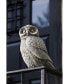 Night Owl Garden Statue