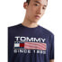 Фото #5 товара Футболка мужская Tommy Hilfiger DM0DM14991 C87