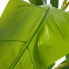 Фото #2 товара Декоративное растение 103 x 95 x 200 cm Зеленый PVC Банан
