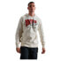 Фото #2 товара SUPERDRY Rising Sun hoodie