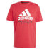 ADIDAS Manchester United FC 23/24 Dna Graphic Short Sleeve T-Shirt