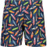 CMP 33R9034 Swimming Shorts