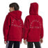 Фото #2 товара Adidas Manchester United Anthem Jacket Jr IT4188 sweatshirt