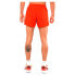 Фото #3 товара SALOMON Cross Rebel 5´´ Shorts