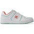 DC Shoes Manteca 4 Se ADYS100767 trainers