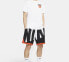 Nike Dri-FIT Dunk On U T CD1287-100 T-Shirt