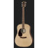 Martin Guitars D-X2EL Rosewood LH