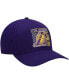 Men's '47 Purple Los Angeles Lakers Reflex Hitch Snapback Hat