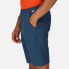 Фото #7 товара REGATTA Highton Long Shorts