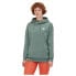 Фото #1 товара MAMMUT Original hoodie