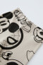 Фото #4 товара Комплект из мягкого плюша Mickey Mouse and Friends, Disney, ZARA