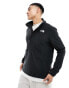 Фото #1 товара The North Face Homesafe Snapneck pullover fleece in black