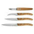 Фото #1 товара Набор ножей для кухни Amefa Forest Wood 4 предмета