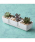 10012 Herb & Succulent Trio Planter/Plastic Flower Pot, White, 12"