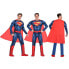 Фото #2 товара Маскарадные костюмы для взрослых Superman 2 Предметы