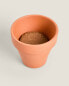 Фото #3 товара Nasturtium flower garden seed pot kit