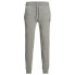 JACK & JONES Gordon Shark Viy Pants