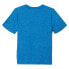 Фото #2 товара COLUMBIA Mount Echo™ Graphic short sleeve T-shirt