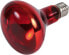 Фото #2 товара Trixie Punktowa lampa grzewcza podczerwień czerwona 150W