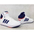 Adidas Hoops Mid 30 K