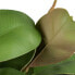 Фото #4 товара Декоративное растение 134 cm Зеленый PVC Дуб