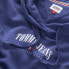Фото #3 товара TOMMY JEANS Relax Essential Logo 2 hoodie