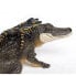 SAFARI LTD Alligator With Babies Figure