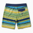 REEF Sharpe Swimming Shorts