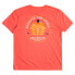 Фото #4 товара QUIKSILVER Promote The Stoke short sleeve T-shirt