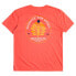 ფოტო #4 პროდუქტის QUIKSILVER Promote The Stoke short sleeve T-shirt