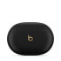 Фото #2 товара Беспроводные наушники с активным шумоподавлением Apple Studio Buds+ - черные Apple Bluetooth-гарнитура