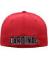 ფოტო #5 პროდუქტის Men's Cardinal Stanford Cardinal Reflex Logo Flex Hat