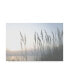 Фото #1 товара Sharon Chandler Morning Whisper II Canvas Art - 37" x 49"