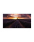 Фото #1 товара Jorge Ruiz Dueso Lavender Sunset Canvas Art - 37" x 49"