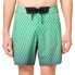 OAKLEY APPAREL Tempestas Sum Swimming Shorts