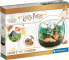 Фото #1 товара Harry Potter - Terrarium