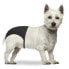 ფოტო #1 პროდუქტის DUVO+ Slip Dog Pants XXL 60-70 cm