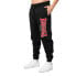 Фото #2 товара LONSDALE Coiree Joggers