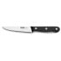 Фото #2 товара IBILI 10 cm premium vegetable knife