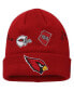 Фото #1 товара Big Boys and Girls Cardinal Arizona Cardinals Identity Cuffed Knit Hat