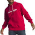 Фото #1 товара Puma Mikey Daygo X Pullover Hoodie Womens Red Casual Outerwear 62191401