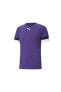 Teamrise Jersey Erkek Futbol Forması 70493210 Mor