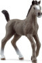 Figurka Schleich Źrebak rasy Cheval De Selle Francais - фото #8