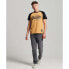 SUPERDRY Vintage Vintage Logo Heritage Raglan T-shirt